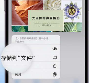 内蒙古apple维修中心分享iPhone文件应用中存储和找到下载文件