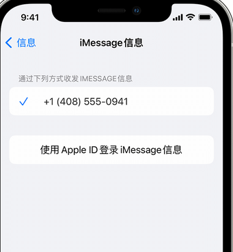 内蒙古apple维修iPhone上无法正常发送iMessage信息 