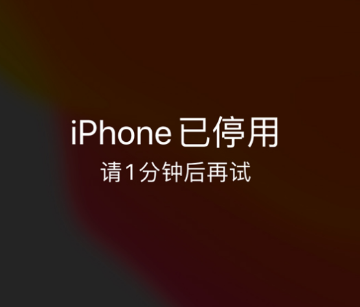 内蒙古苹果手机维修分享:iPhone 显示“不可用”或“已停用”怎么办？还能保留数据吗？ 