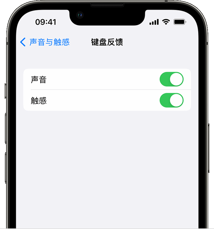 内蒙古苹果14维修店分享如何在 iPhone 14 机型中使用触感键盘 