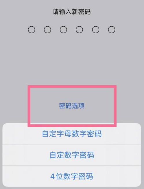 内蒙古苹果14维修分享iPhone 14plus设置密码的方法 