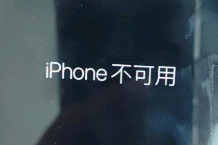 内蒙古苹果服务网点分享锁屏界面显示“iPhone 不可用”如何解决 