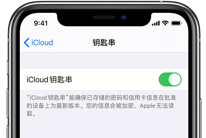 内蒙古苹果手机维修分享在 iPhone 上开启 iCloud 钥匙串之后会储存哪些信息 
